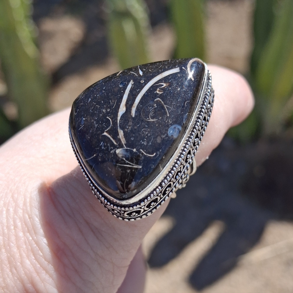 New Turritella Agate Fossi Silver Ring.